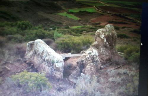 Nekasenea II - Foto 5