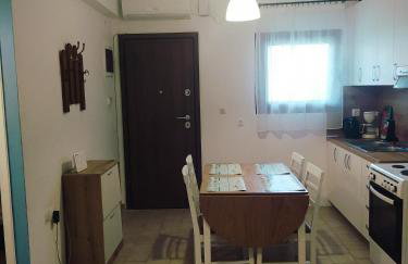 Vaso Manos Apartment - Siviri Chalkidiki - Foto 23