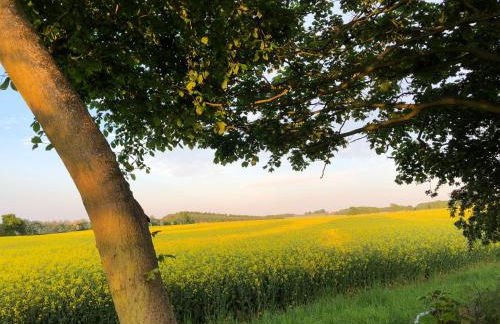 Purves Cottage - Foto 31