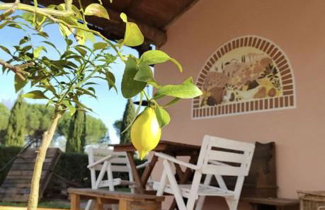 Villa Donnola: casa Rosmarino - Foto 17