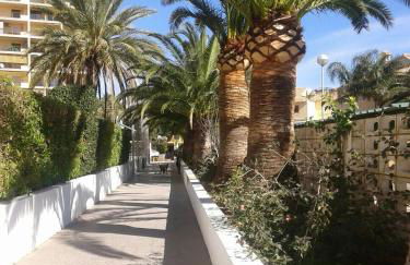 Apartamento PuigVal - Foto 7