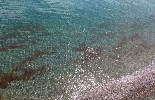 Cozy Courtyard Apt, Explore & Relax, Free Parking - Foto 26