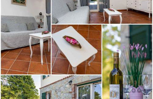 Kuca za odmor Vila Agnes - Foto 10