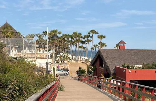 Estrelicia - Photo 47