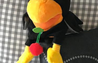 Ferienhaus bei Lauingen, mit Sauna und Gartenlounge - Foto 24