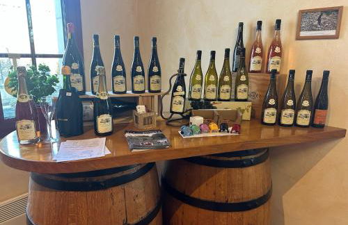 Lovely Holiday Home in Loire for 10 - Photo 19