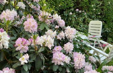 Ferienwohnung im ehem Rittergut - Foto 11