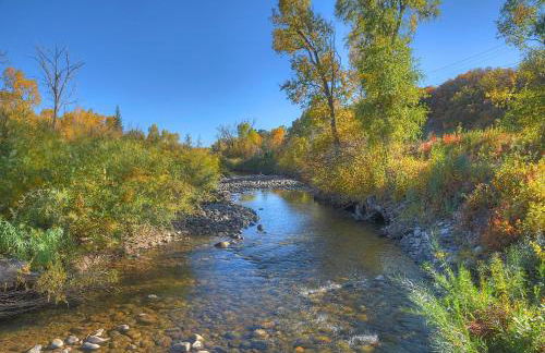 Pine River Model Cabin 1 BR Bayfield - Foto 32