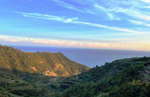 Auri's Home - Foto 21