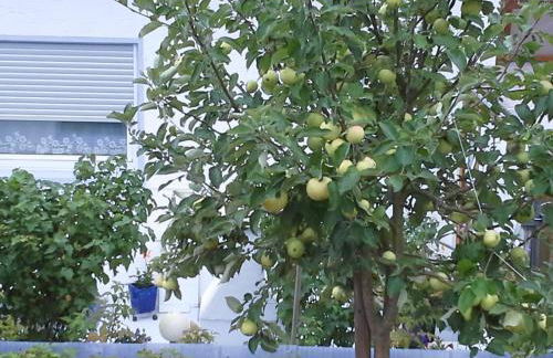 Ferienwohnung Galina 1 - Foto 15