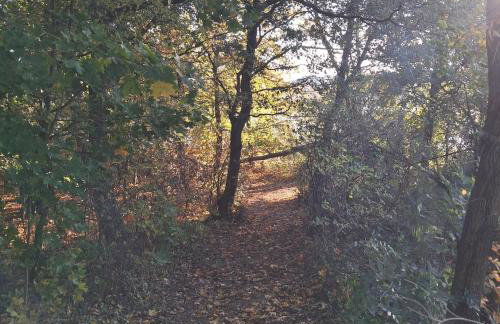 Brzozowe Ostrowie - Foto 30