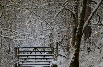 The Smiddy - Foto 32