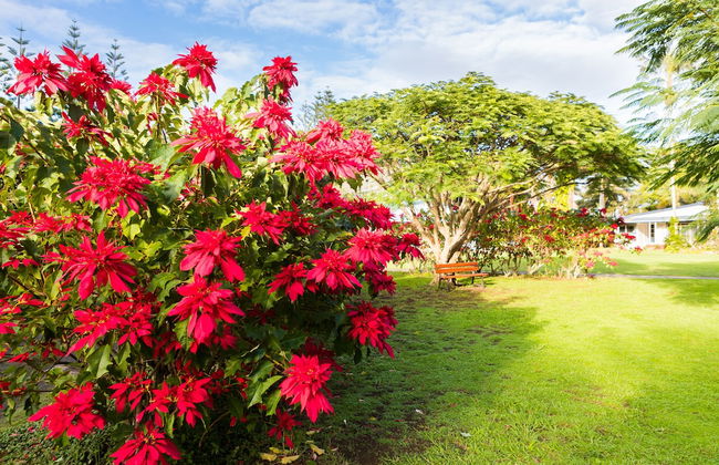 Trade Winds Country Cottages - Foto 18