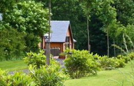 Plum Tree Lodge - Foto 7