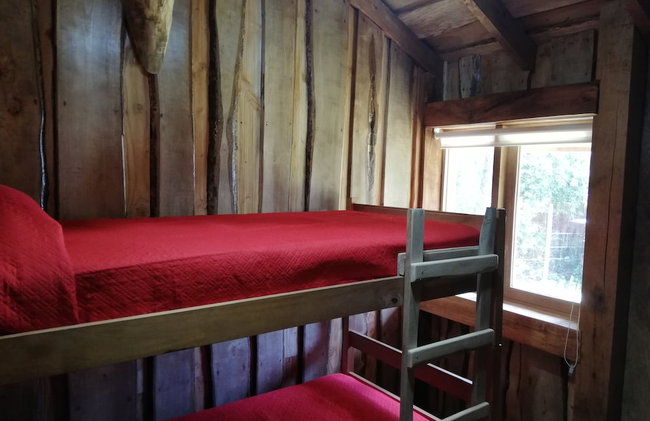 Wonderful Rustic Cabin 2, With Native Logs, on the Banks of the Trancura River - Foto 5