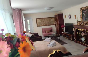 Gite Luxury à Soultzeren - Foto 1