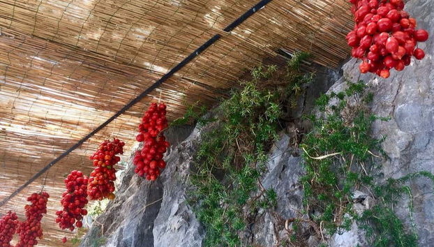 Mount Vesuvius Day Trip - Foto 4