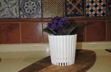 La Casa De La Abuela - Photo 22