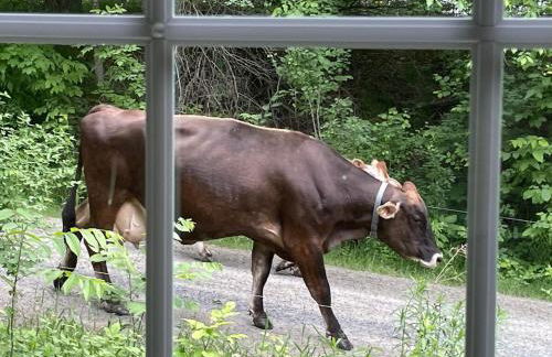 Ski Lodge Mins to White Face Mtn and Lake Placid - Foto 68