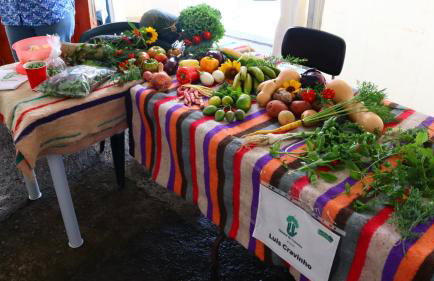 Casa L&M - Refúgio com Horta Biológica Certificada - Foto 6