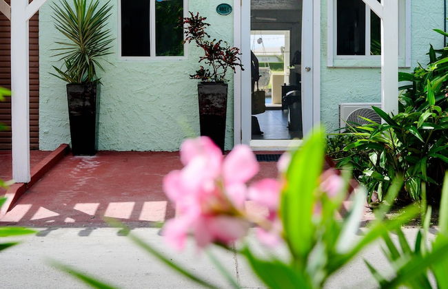 Wild Lotus Villa - Waterfront on Jolly Harbour - Photo 27