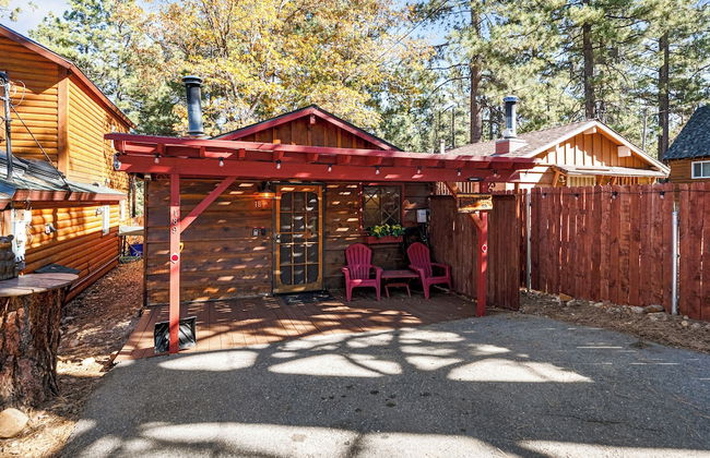 Sugar Pine - Foto 13