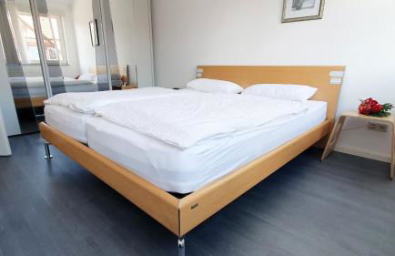 Auenglück (inkl. THERMEplus) - Foto 17