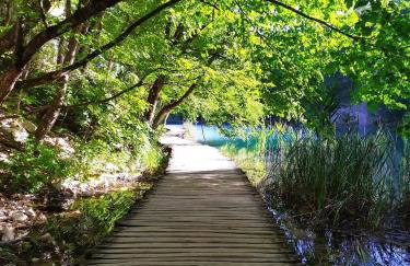 Timber valley - Foto 72