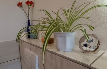 Ferienwohnung Gentsch in Schmannewitz - Foto 19