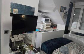 Petit Appartement Nantais - Foto 39