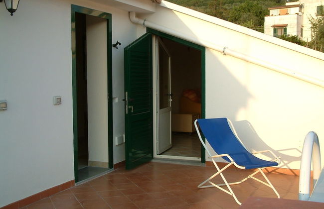 Old Farmhouse Set In A Citrus Grove - Photo 6