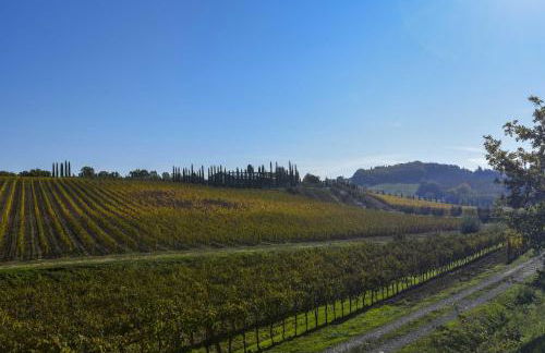 Agriturismo Le Gallozzole - Foto 60