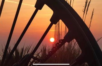 Coastal Apartments No 1 - Photo 52