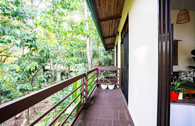 Casa Aluem in the Forest Close to the Beach - Photo 8