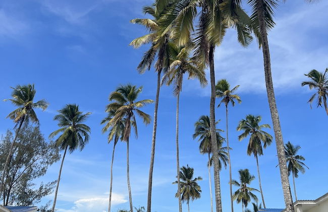 Kiwengwa Minazi Resort - Foto 13