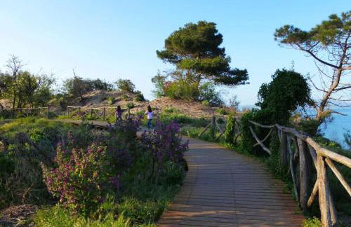 Loft a Sant Martí d'Empúries - Foto 17