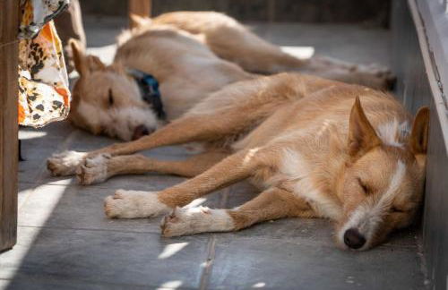 Rambla Retreats Apartment Azul with shared pool & hot tub in Oria - Foto 21