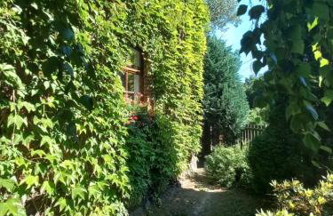 Avalon Połchowo - Foto 30