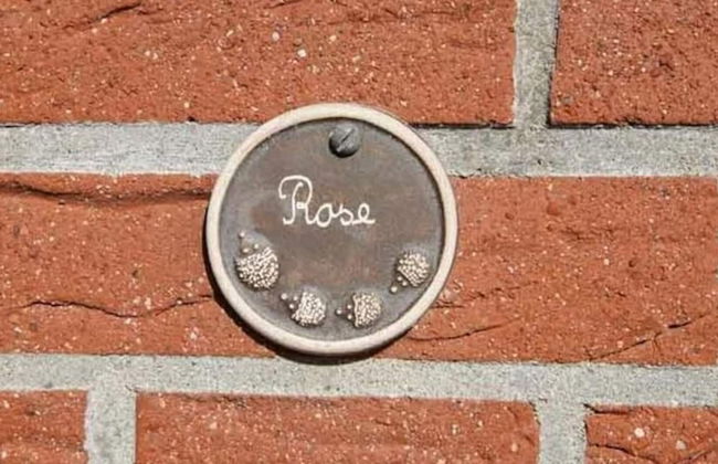 Beckmann-visser Modern Retreat - Foto 16