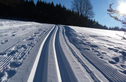 Gemütliche Ferienwohnung in Holzhau - Foto 24