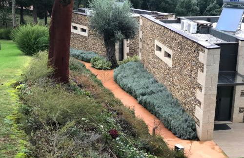 Bosque da Harmonia - Foto 36