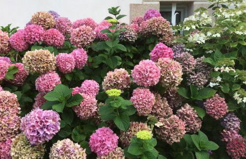 Kerellouan Family house 8 near Beach Cap Frehel - Foto 2