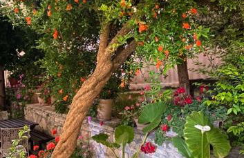 Archontiko Anastasia - Foto 13