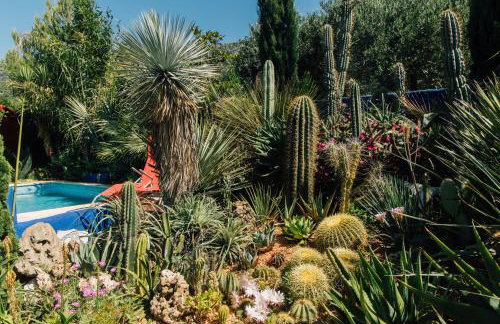 Villa Tropica, total privacy, tropical garden and private pool - Photo 54