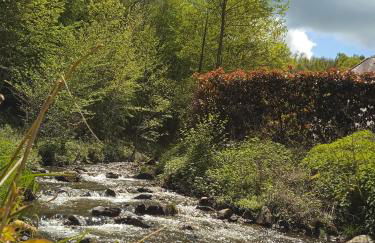 Gîte en bord d'étang et de rivière - Foto 19