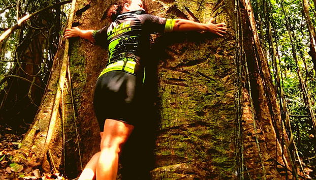 Trilha pela flora e fauna amazônica