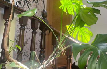 Alojamiento Rural Monterey - Foto 5