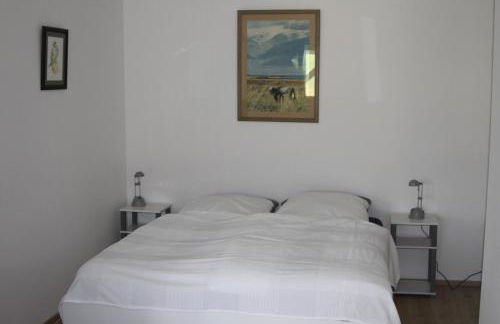 Ruhige Ferienwohnungen mit Teichblick - Photo 25