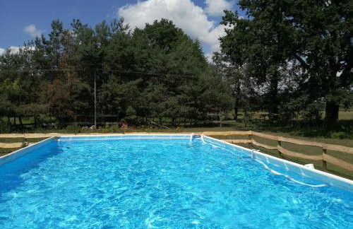 Agroturystyka Pod Modrzewiami - Foto 65