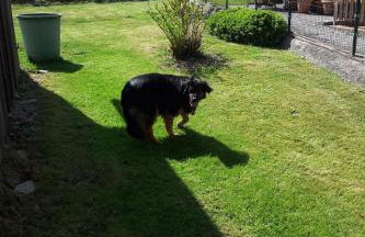 Holiday Home Schlossplatz by Interhome - Foto 10